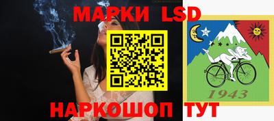 мдпв Будённовск