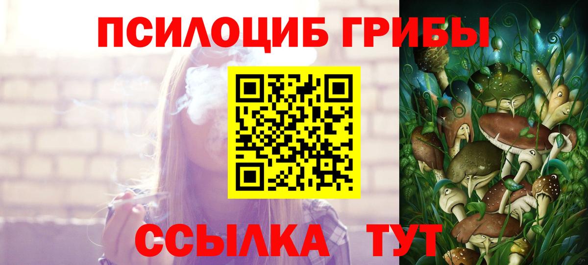 Псилоцибиновые грибы Psilocybine cubensis Фролово