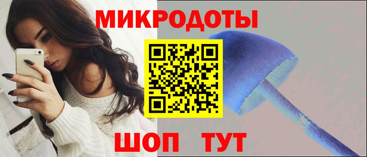 Галлюциногенные грибы Psilocybine cubensis  Вход с VPN  Фролово 